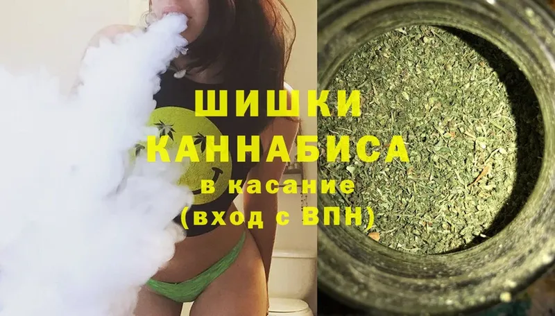 где купить наркоту  Зеленогорск  Каннабис SATIVA & INDICA 